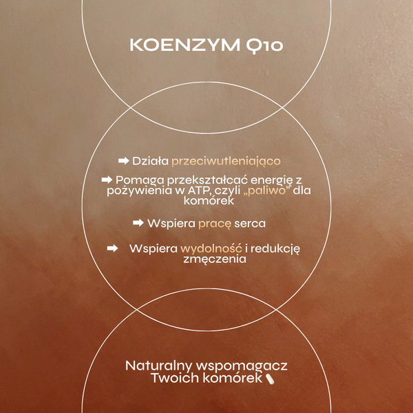 Grafika przedstawia infografikę edukacyjną dotyczącą działania koenzymu Q10. Całość utrzymana jest w ciepłej, miedziano-brązowej kolorystyce nawiązującej do energii komórkowej, witalności oraz tematyki longevity. Kompozycję tworzą nachodzące na siebie okręgi, które nadają projektowi nowoczesny i minimalistyczny charakter.