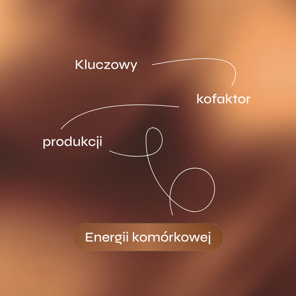 Grafika przedstawia minimalistyczną kompozycję utrzymaną w ciepłych, miedziano-brązowych odcieniach nawiązujących do energii komórkowej i działania koenzymu Q10. Na tle abstrakcyjnego, rozmytego gradientu umieszczono hasła „Kluczowy kofaktor produkcji energii komórkowej”, połączone cienkimi, dynamicznymi liniami nadającymi projektowi nowoczesny charakter.