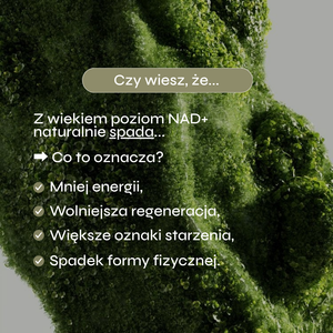 Grafika przedstawia organiczną, zieloną formę pokrytą zieloną roślinnością, co symbolizuje naturalne procesy zachodzące w organizmie oraz ideę zdrowego starzenia. Na środku umieszczono hasło „Czy wiesz, że…”, a poniżej informacje dotyczące spadku poziomu NAD+ wraz z wiekiem.