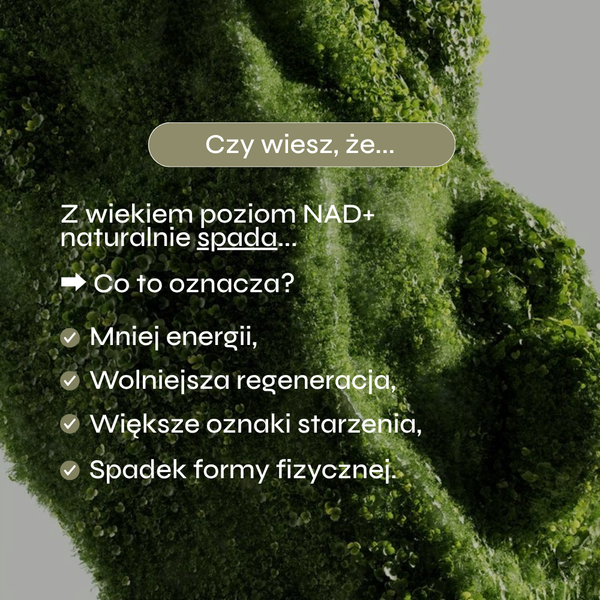 Grafika przedstawia organiczną, zieloną formę pokrytą zieloną roślinnością, co symbolizuje naturalne procesy zachodzące w organizmie oraz ideę zdrowego starzenia. Na środku umieszczono hasło „Czy wiesz, że…”, a poniżej informacje dotyczące spadku poziomu NAD+ wraz z wiekiem.