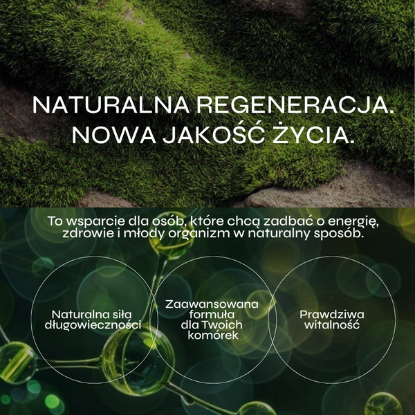Grafika utrzymana jest w zielonej, naturalnej stylistyce nawiązującej do regeneracji organizmu i zdrowego stylu życia. W górnej części znajduje się hasło „Naturalna regeneracja. Nowa jakość życia.” umieszczone na tle przypominającym mech lub gęstą roślinność. Dolna część grafiki zawiera przekaz dotyczący wsparcia energii, zdrowia i młodego organizmu w naturalny sposób. Na tle abstrakcyjnych struktur przypominających komórki lub cząsteczki przedstawiono trzy główne korzyści: „Naturalna siła długowieczności”