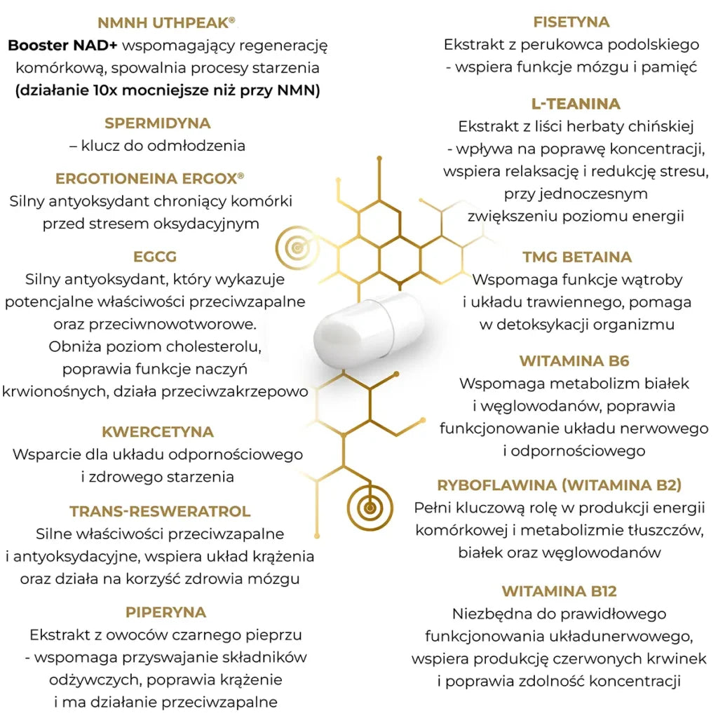 Grafika przedstawia składniki aktywne suplementu diety EON Longevity Complex marki EONLIFE Biotech wraz z opisem ich działania wspierającego zdrowie, energię i procesy anti-aging. W centralnej części umieszczono kapsułkę oraz graficzny motyw chemicznej struktury molekularnej.